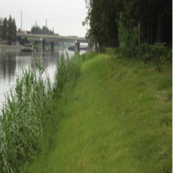 中小河道河流生态修复设计与施工
Design & construction for mid-small river
ecological restoration 中小河道河流生态修复设计与施工
Design & construction for mid-small river
ecological restoration